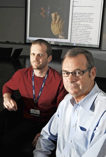 Postdoctoral candidate Roger L. Clem (left) and Richard L. Huganir, professor and chair of neuroscience at Johns Hopkins, are conducting research into erasing traumatic memories. (Kenneth K. Lam, Baltimore Sun / November 22, 2010)